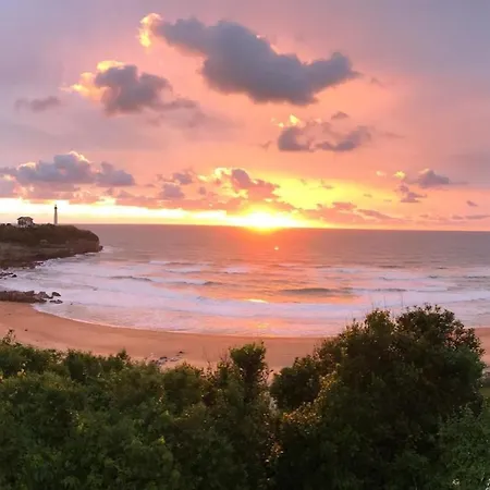 Lejlighed T4 Cosy Et Moderne Au Coeur D'anglet, Plages A 5 Min, Parking Securise & Fibre